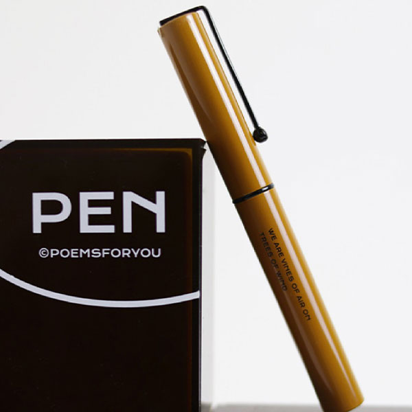 钢笔礼盒 Pen gift box